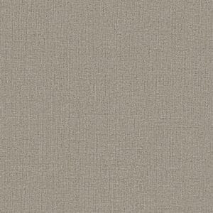 CANVAS PARDO ARI 2440 X 2100 X 15