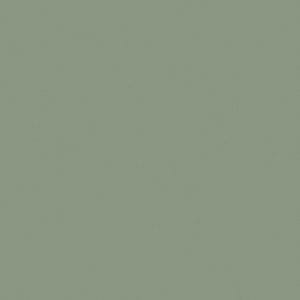 VERDE ARCILLA S.3 2850 X 2100 X 18